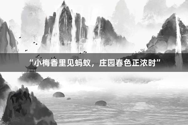 “小梅香里见蚂蚁，庄园春色正浓时”